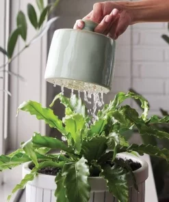 Hearth & Hand With Magnolia 2.5L Stoneware Watering Thumb Pot Sage Green - Hearth & Hand™ with Magnolia