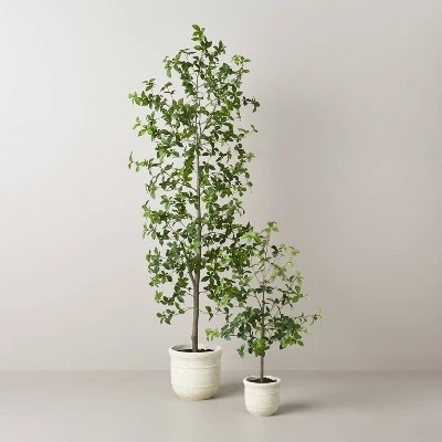 Hearth & Hand With Magnolia 33" Faux Gypsophila Leaf Plant - Hearth & Hand™ with Magnolia 5 Hearth & Hand With Magnolia 33" Faux Gypsophila Leaf Plant - Hearth & Hand™ with Magnolia - Image 3