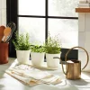 Hearth & Hand With Magnolia 1L Accented Metal Watering Can Brass Finish - Hearth & Hand™ with Magnolia 2 Hearth & Hand With Magnolia 1L Accented Metal Watering Can Brass Finish - Hearth & Hand™ with Magnolia -Hearth Shop GUEST 3cfcd7d1 4b17 48e7 b640 f0724514f32d