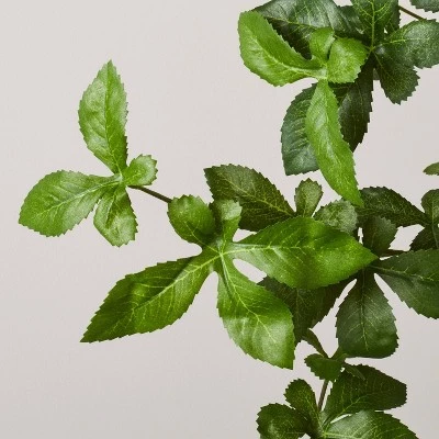 Hearth & Hand With Magnolia 33" Faux Gypsophila Leaf Plant - Hearth & Hand™ with Magnolia 4 Hearth & Hand With Magnolia 33" Faux Gypsophila Leaf Plant - Hearth & Hand™ with Magnolia - Image 2