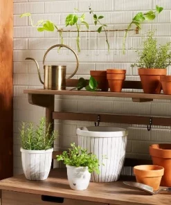 Hearth & Hand With Magnolia 9pc Steel & Glass Plant Propagation Set Gold/Clear - Hearth & Hand™ with Magnolia