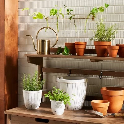 Hearth & Hand With Magnolia 9pc Steel & Glass Plant Propagation Set Gold/Clear - Hearth & Hand™ with Magnolia -Hearth Shop GUEST e4da7e33 e87e 4b7f 9edf 6dc962ee555d